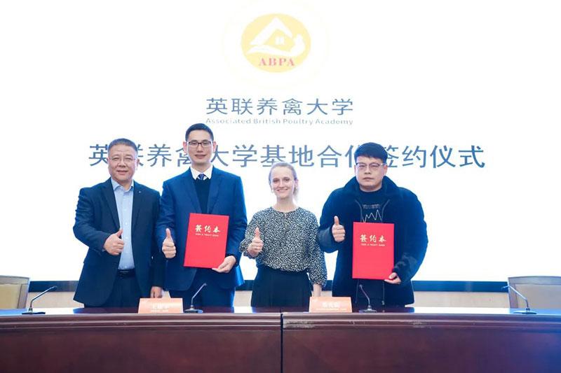 1703237750159122.jpg 017.jpg