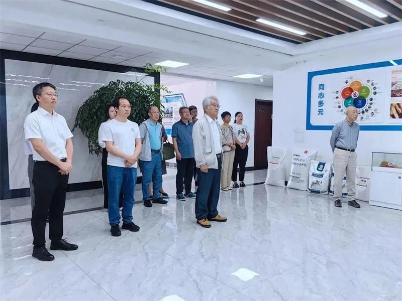 1719395394785071.jpg 906.jpg