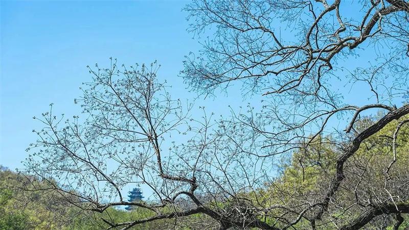 1719395445450460.jpg 753.jpg