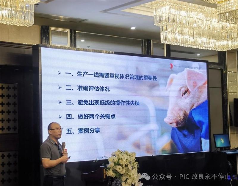 1721900472148306.jpg 61.jpg