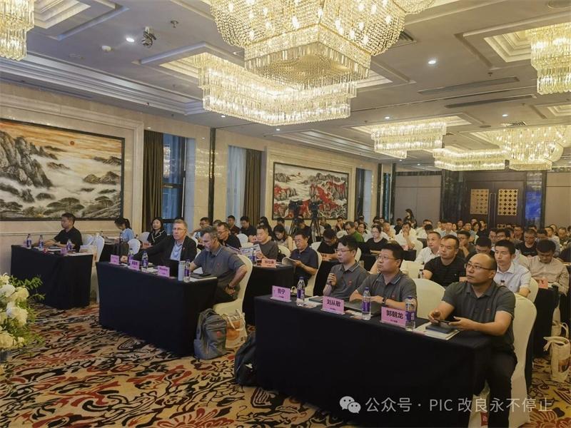 1721900673390863.jpg 45.jpg