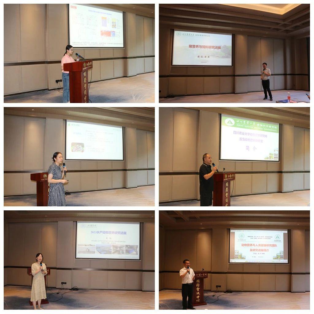 1724811144554081.jpg 1724811144554081.jpg