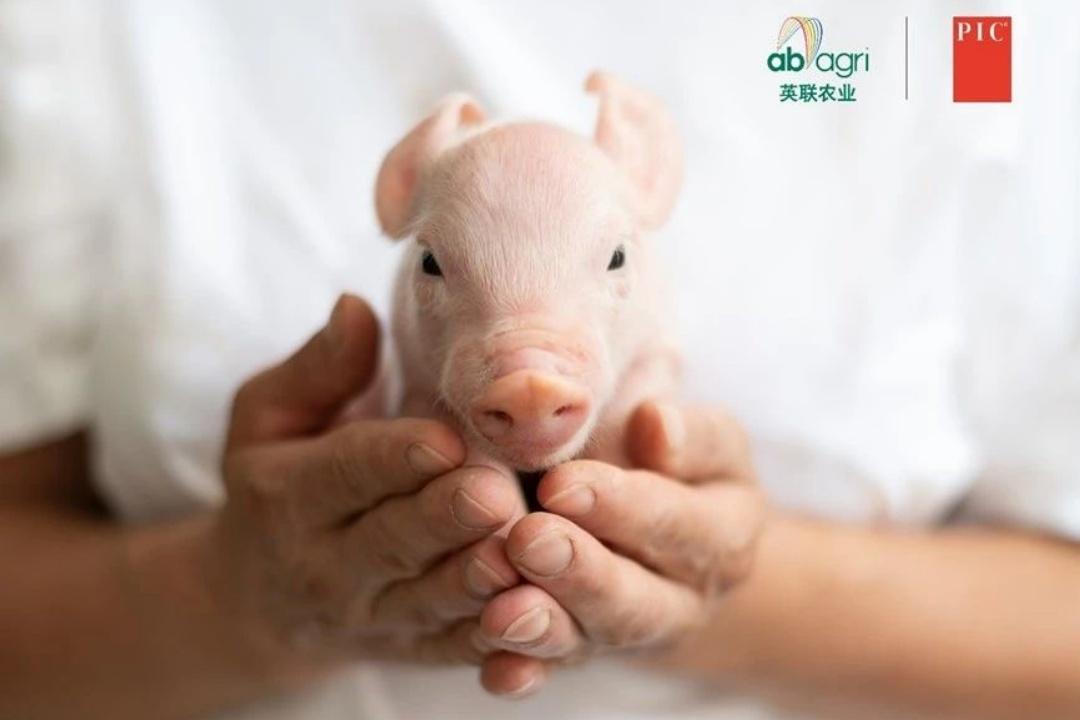 1729816841500830.jpg 45.jpg