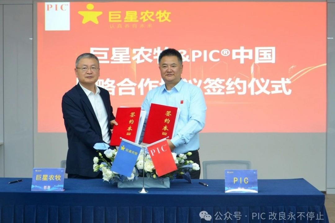 1729818605715554.jpg 08.jpg