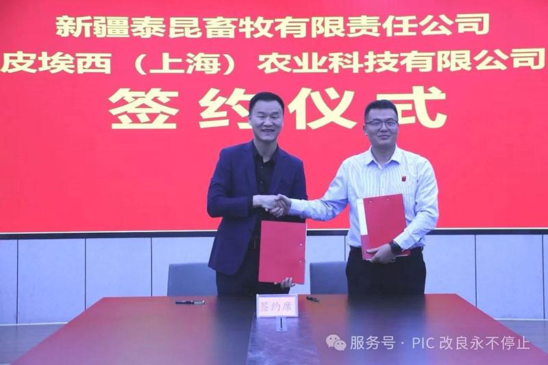 1737625195233286.jpg 6501.jpg