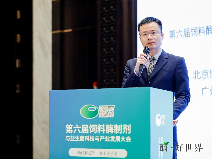 1741337852823268.png 39.png