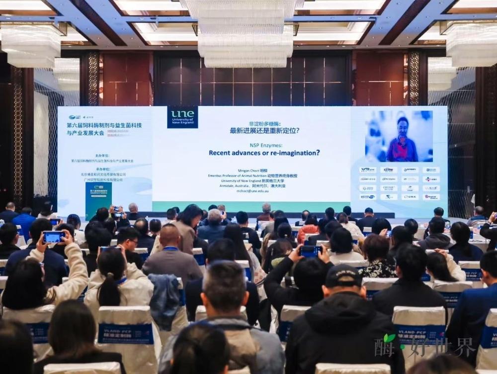 1741337878805439.jpg 34_副本.jpg