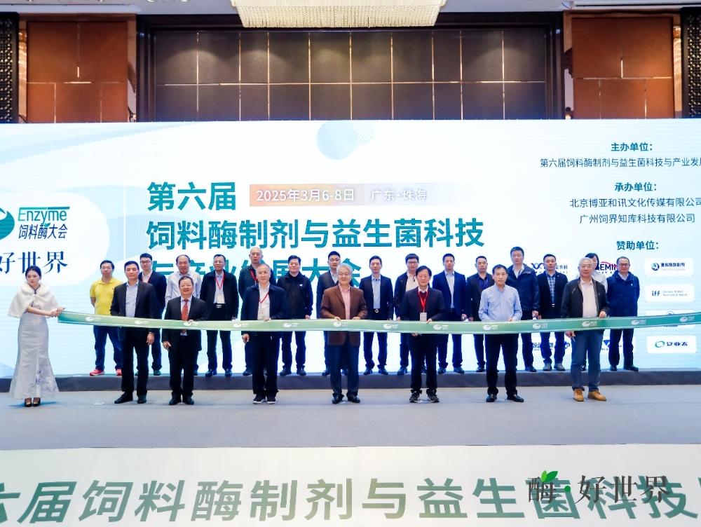 1741338079200386.jpg 25_本.jpg