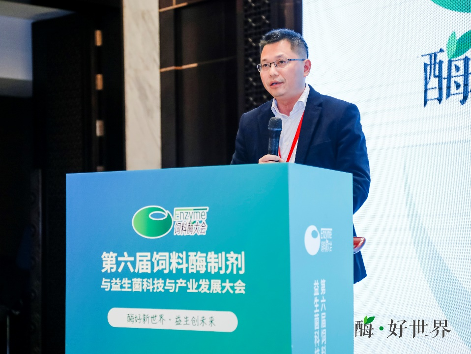 1741338149851324.png 19.png