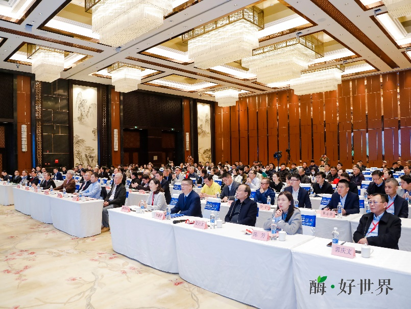 1741338187163340.png 16.png