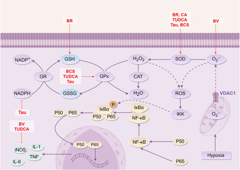 1744594893117251.png 649.png