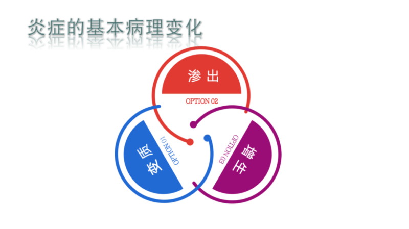 1744604400831874.png 1744594933105551_副本.png