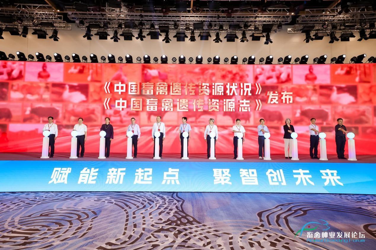 1757904233122449.jpg 1757904233122449.jpg