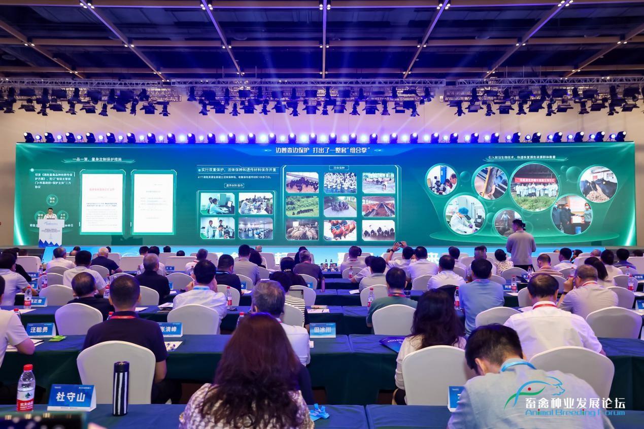 1757904253665100.jpg 1757904253665100.jpg