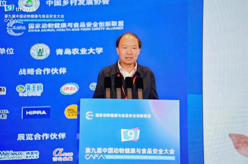 1758768932573816.jpg 018.jpg