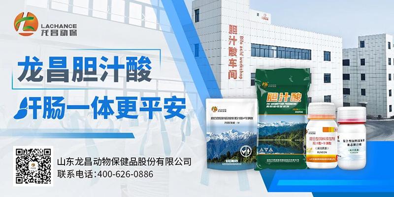 1758879109625269.jpg 800.jpg