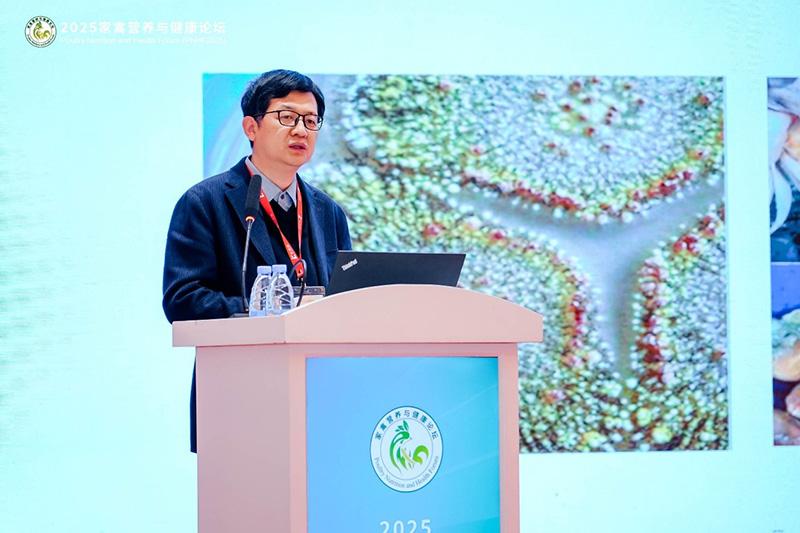 1760841934805515.jpg 013.jpg