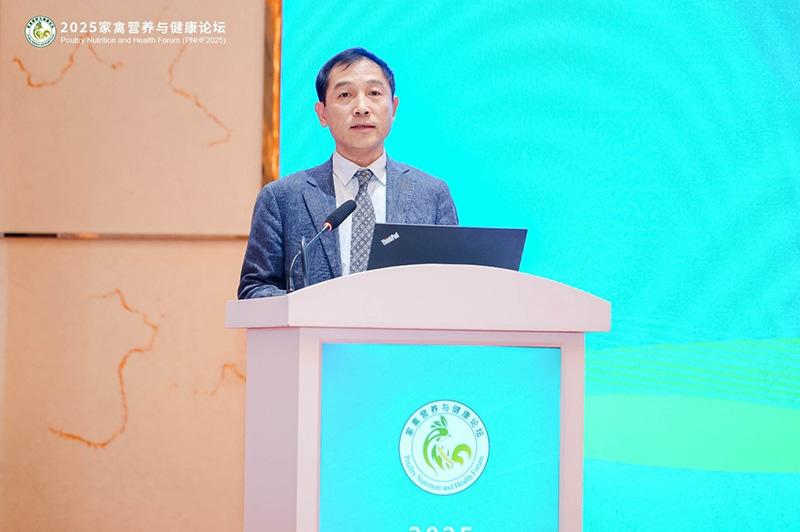 1760842278548853.jpg 005.jpg