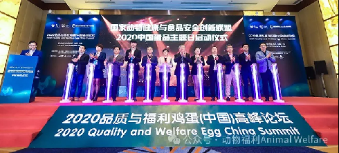 1761038882914204.png 19.png