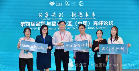 1761038898684502.png 17.png