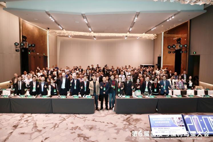 1761038919987644.jpg 15.jpg