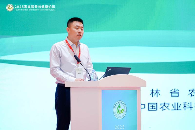 1761093172902077.jpg 17.jpg