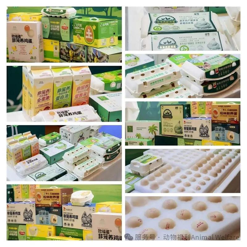 1761276172287187.jpg 146.jpg