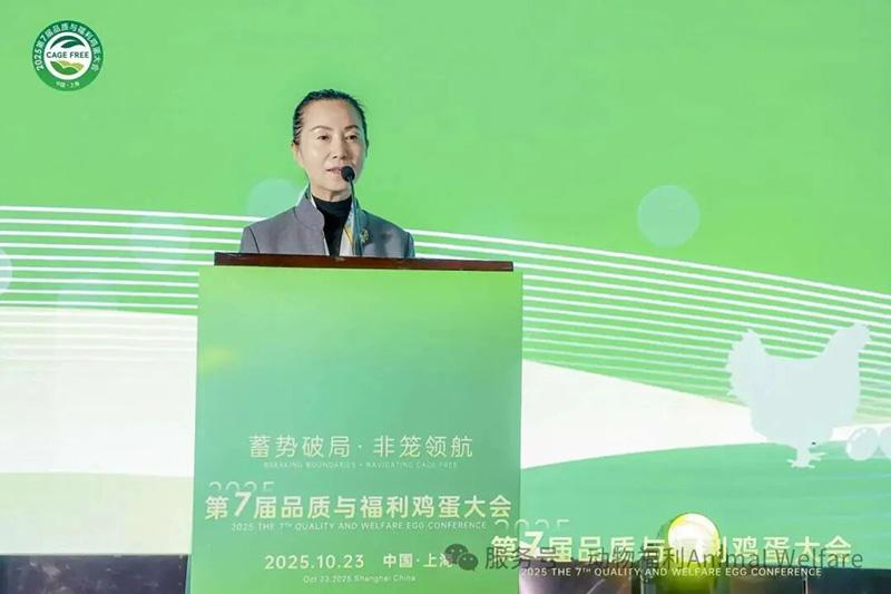 1761277495725991.jpg 68.jpg