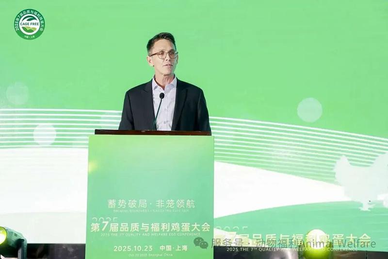 1761278164335532.jpg 86.jpg