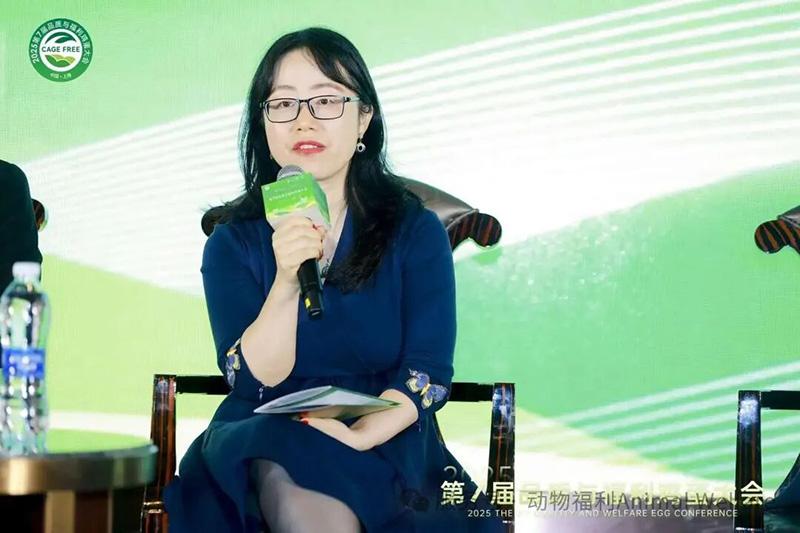 1761278819843518.jpg 101.jpg