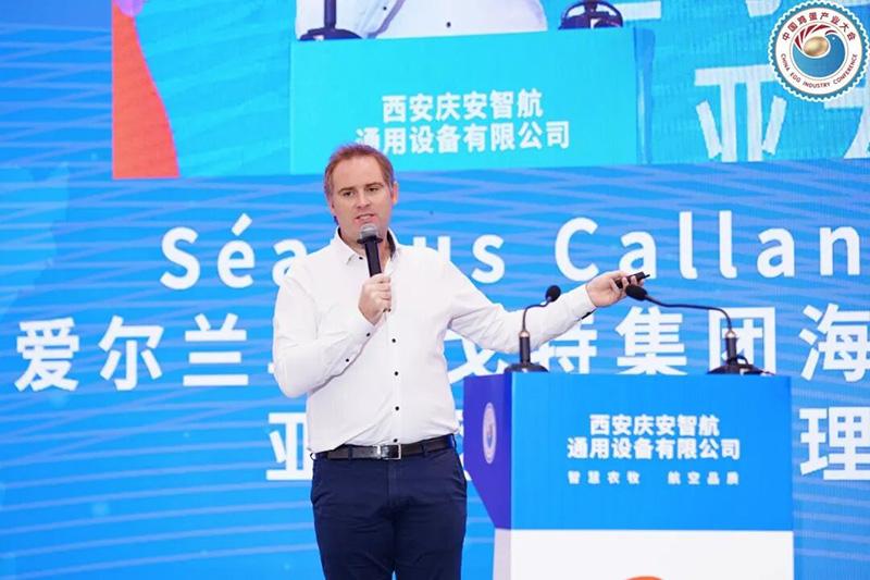 1761802898914486.jpg 83.jpg