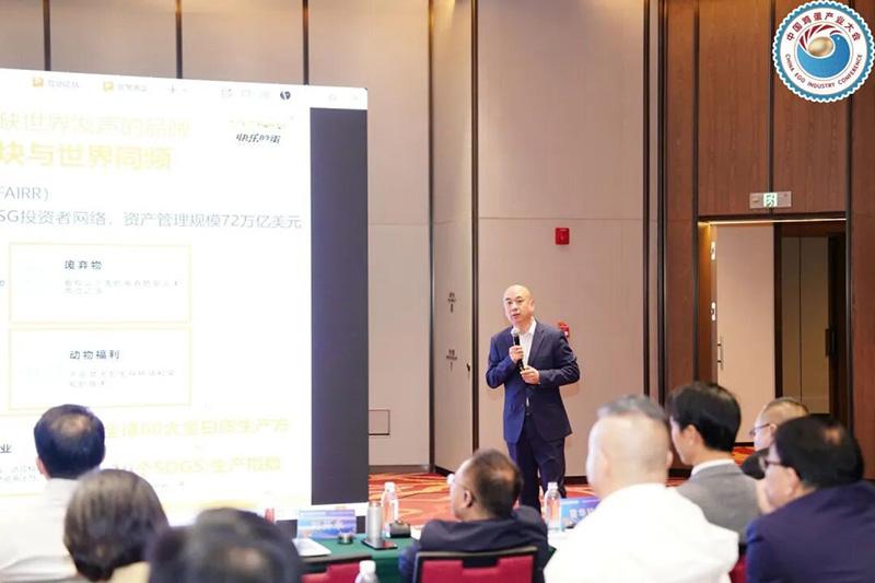 1761803665556961.jpg 32.jpg